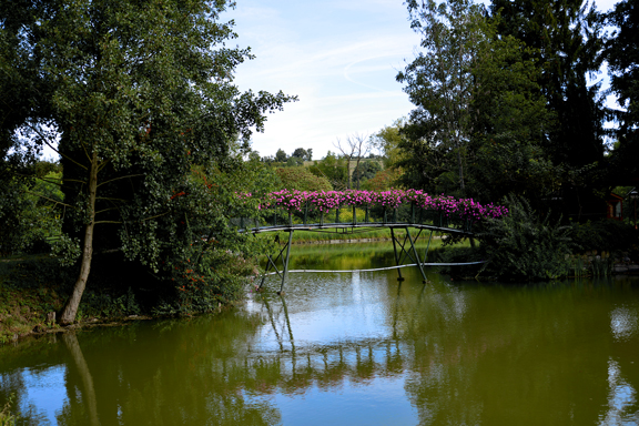 Passerelle sur l'étang d'Eschentzwiller en Alsace