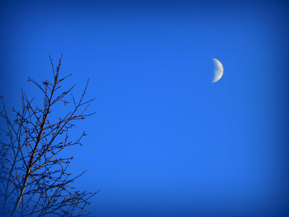Lune naissante à l'heure bleue - photo Ray Mond