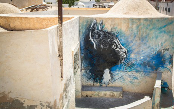 C215