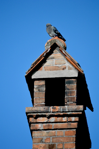 Cheminée sur une maison à Eschentzwiller en Alsace