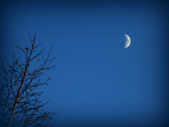 Lune naissante à l'heure bleue d'une  journée hivernale