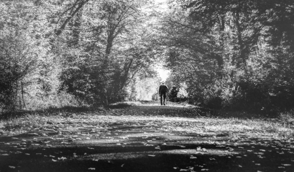 Vivre chaque instant du printemps à l'hiver,