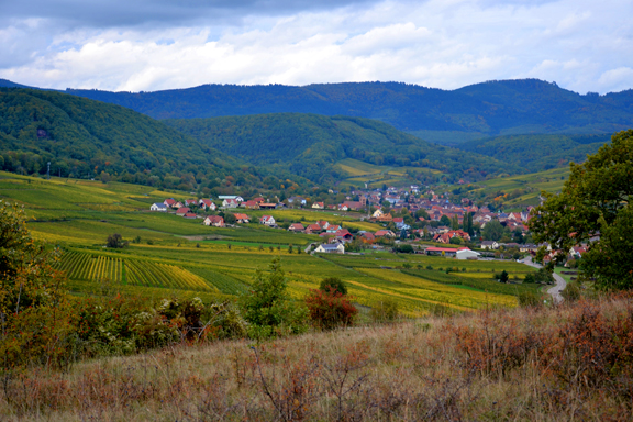 Vue du Bollenberg sur la plaine d'Alsace et les Vosges