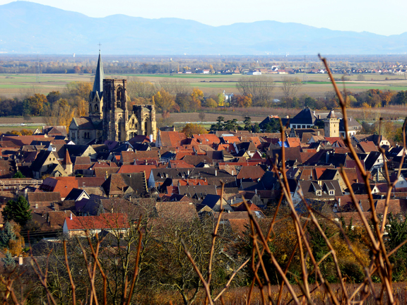 Balade dans les vignes de Rouffach - 68