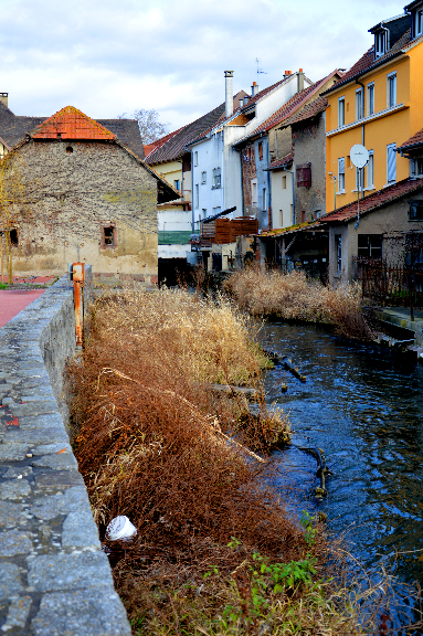 Ruisseau de l'ancien moulin d'Ensisheim - 68 Alsace 