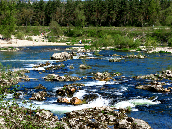 Le Rhin à l'Isteinerklotz (Barre d'Istein) à Kembs - 68 