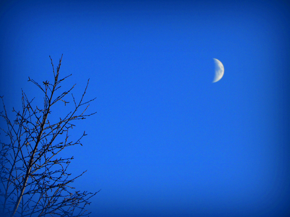 Croissant lunaire dans le ciel bleu de Habsheim Alsace - photo prise pendant les heures bleues très prisées des photographes 