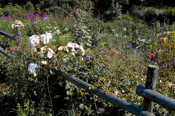 Le jardin du Temps à Illzach Mulhouse