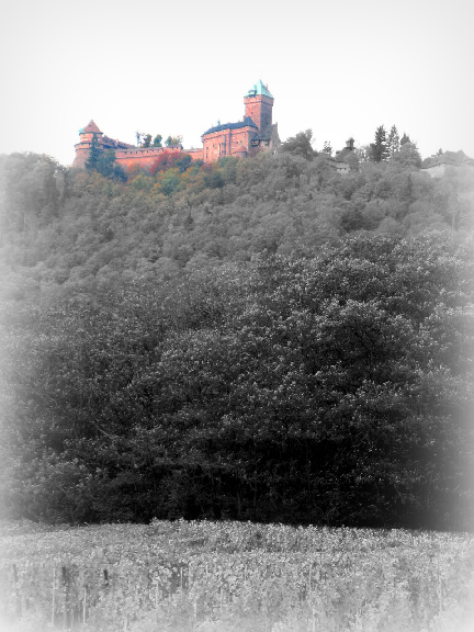 Le château du Haut-Koenigsbourg dans le vignoble alsacien