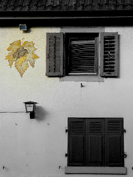 Feuille de vigne sur la façade d'un bistrot à Dornach Mulhouse