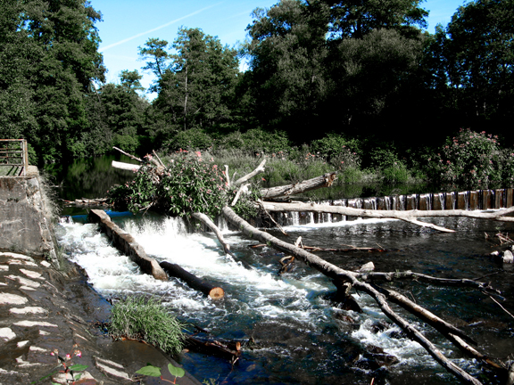 Torrent de la Doller sur le sentier des bunkers