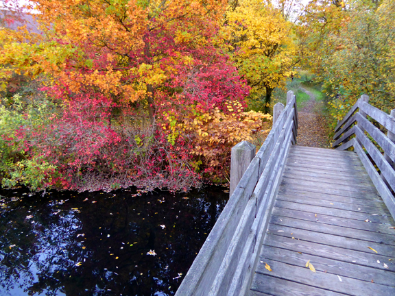 D'une rive à l'autre en automne ...